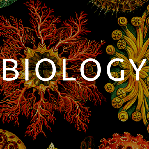 Year 8 Biology (Cambridge)