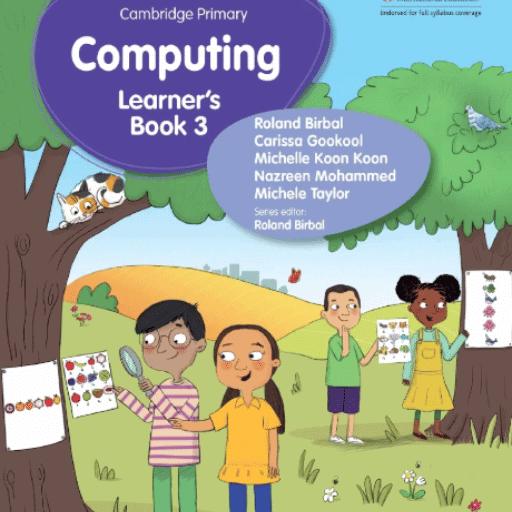 Year 3 Computing IGCSE (Cambridge)