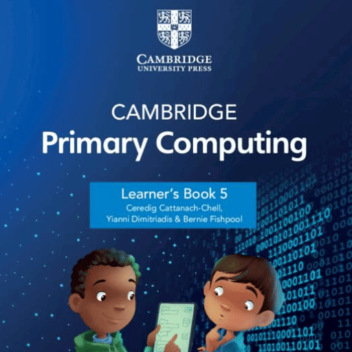 Year 5 Computing IGCSE (Cambridge)