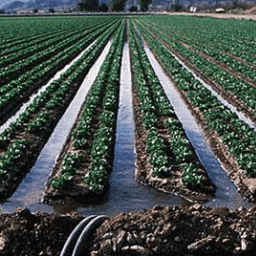 Irrigation (Video Lectures)