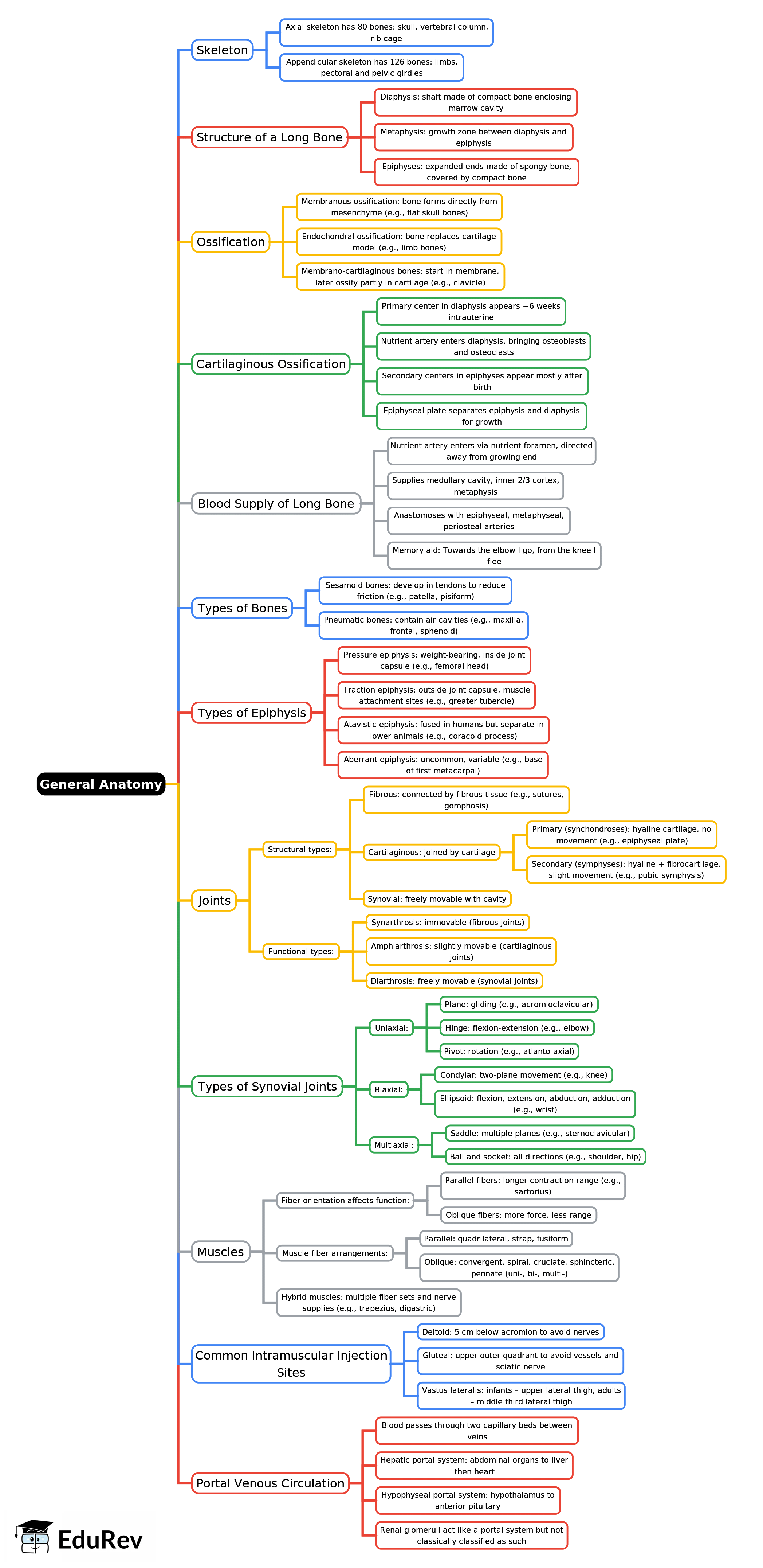 Mind Map: General Anatomy | Anatomy - NEET PG