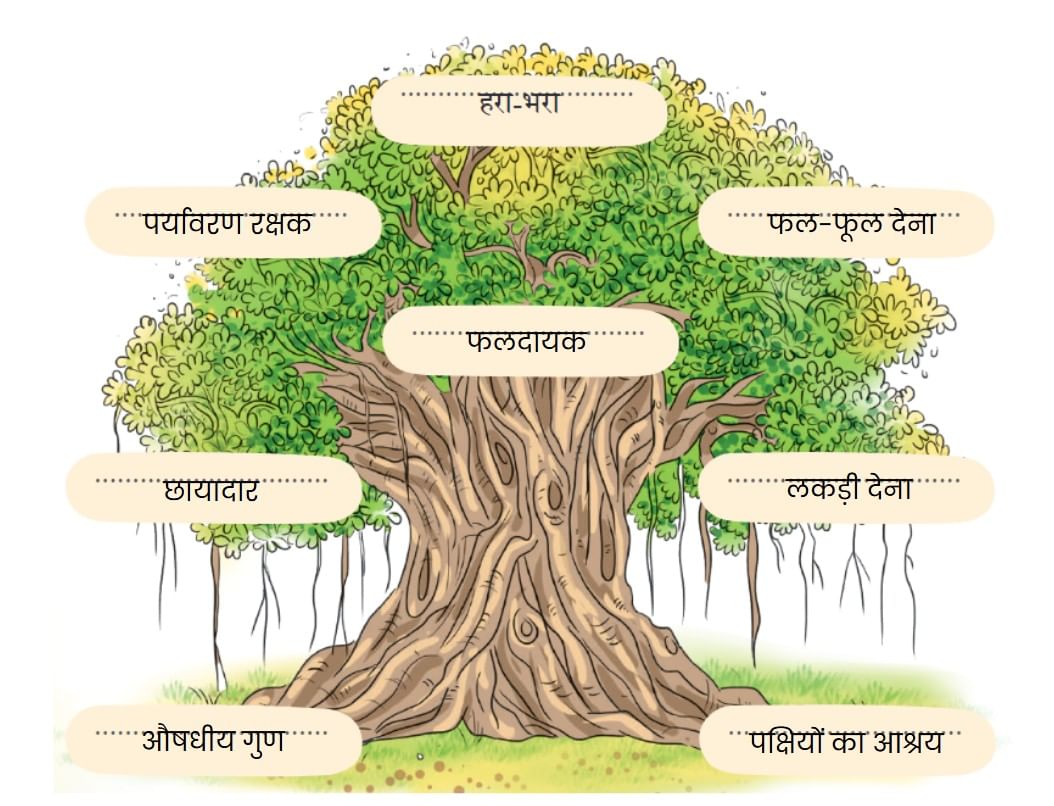 NCERT Solutions for Class 4 Hindi Chapter 3 - नीम