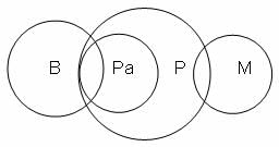 Syllogism Questions for CAT with Answers PDF