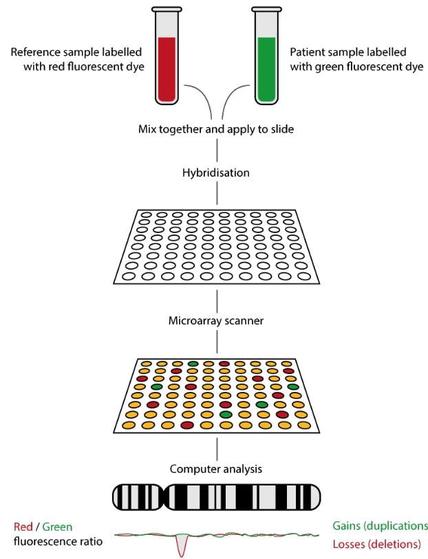 Molecular Biology Techniques and Recent Advances in Molecular Biology ...