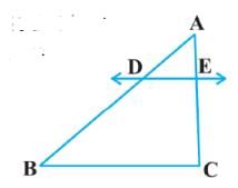 Class 10 Maths Chapter 6 Assertion and Reason Questions - Triangles
