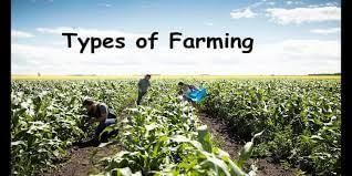Agriculture - 1 Class 4 Worksheet SST