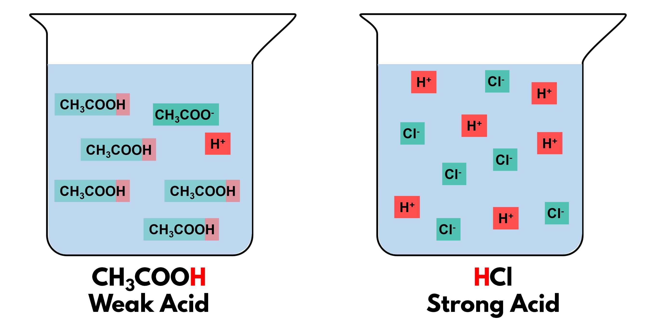 NCERT Based Activity: Carbon and its Compounds | Science Class 10