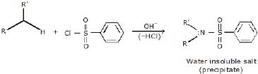 CBSE, Class 12, IIT JEE, Syllabus, Preparation, AIPMT, NCERT, Important, Amines, Compounds containing Nitrogen