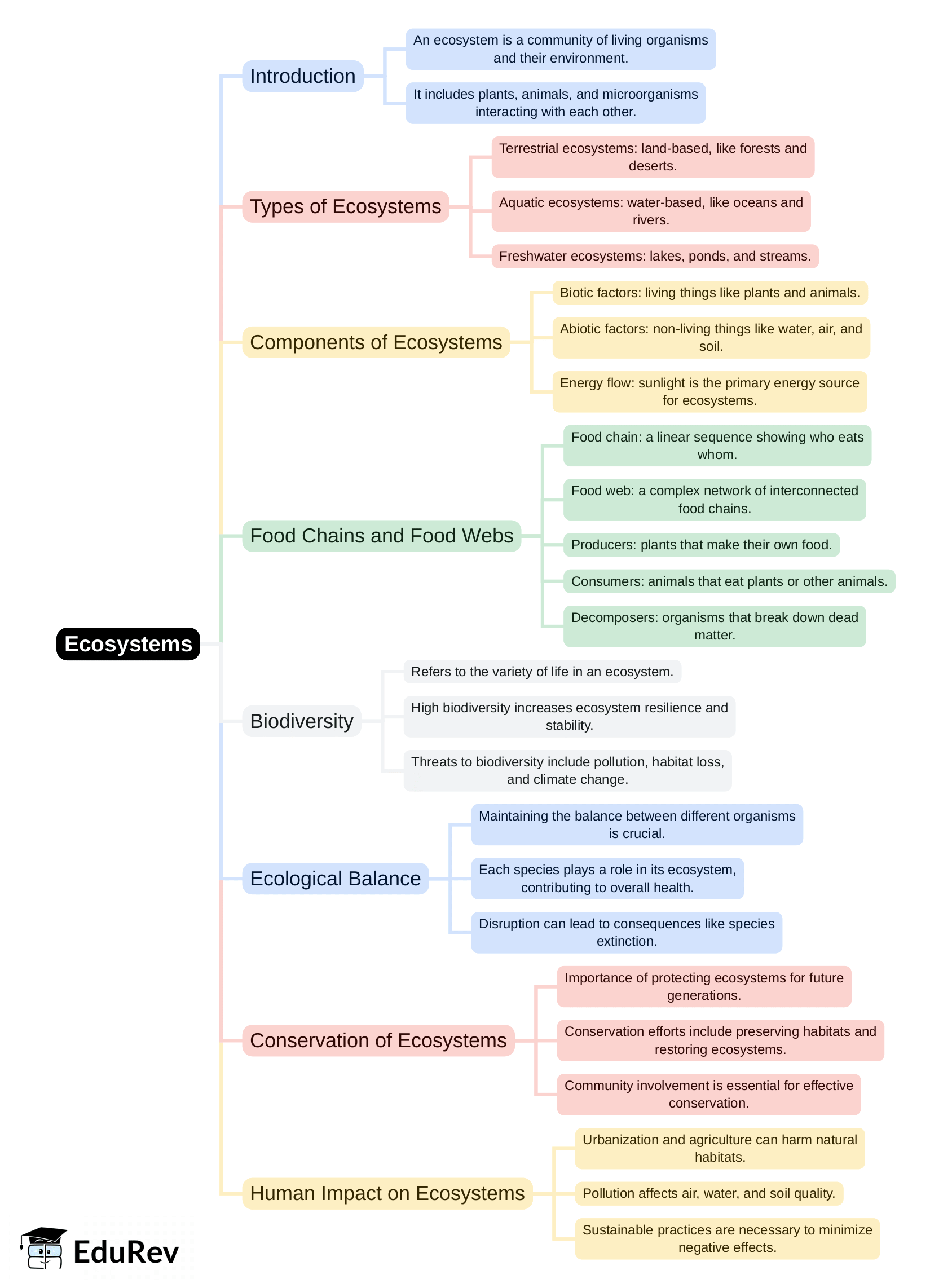 Mind Map - PDF Download