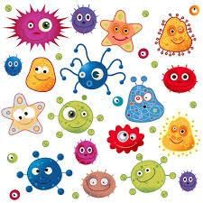 Types of microorganisms | Year 7 Biology (Cambridge) - Class 7