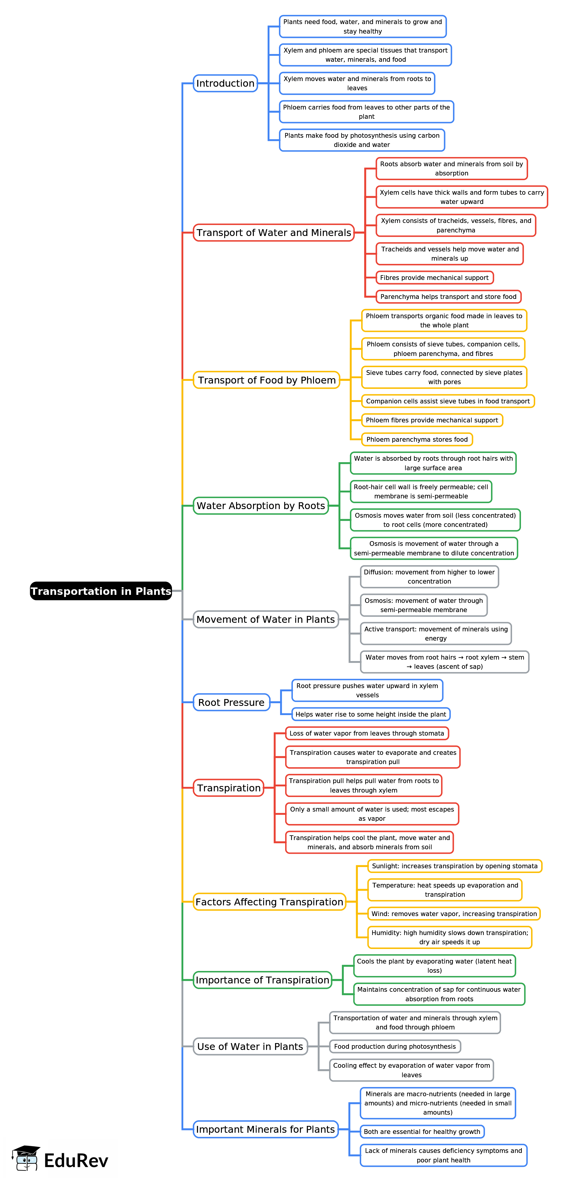 Mindmap: Transportation in Plants | Biology Class 8 ICSE