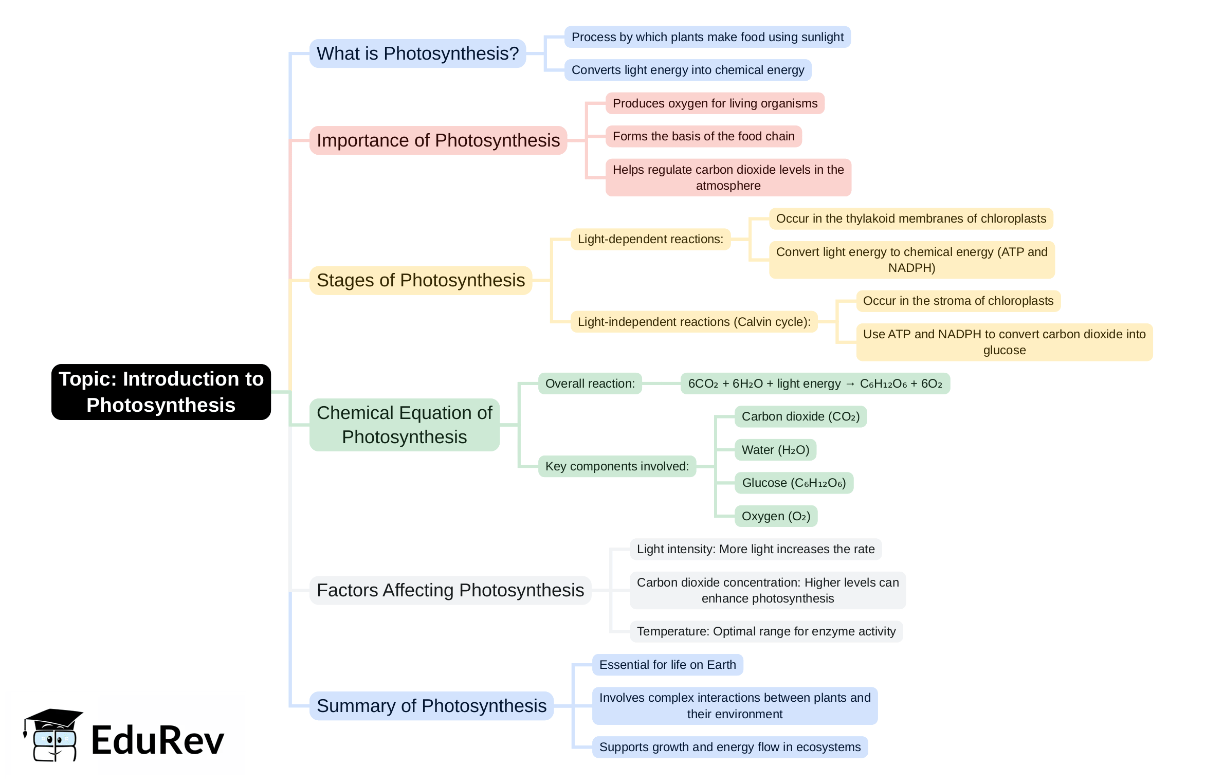 Mind Map - PDF Download
