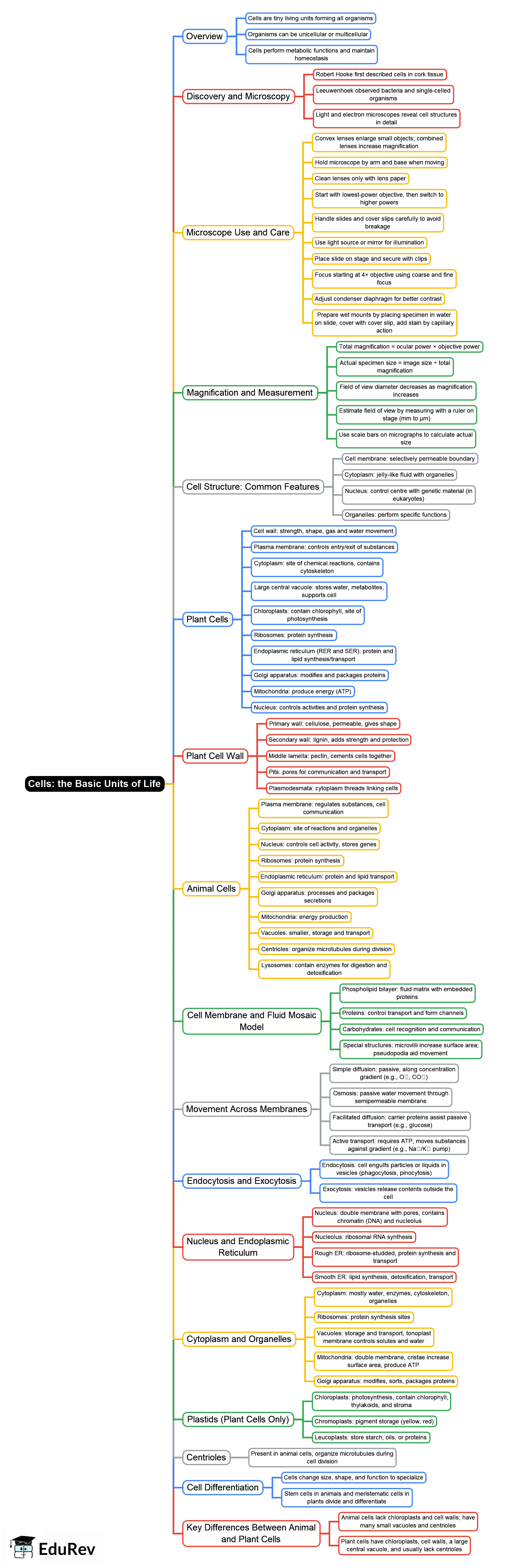 Mind Map: the Basic Units of Life