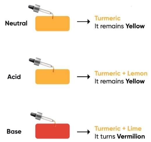 Class 7 Science Chapter 2 Question Answers - Exploring Substances: Acidic, Basic and Neutral