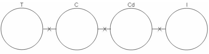 Syllogism Questions for CAT with Answers PDF