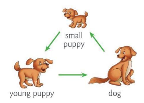 Human Body Chapter Notes | Year 1 Science IGCSE (Cambridge) - Class 1