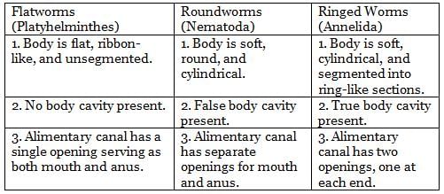 Five Kingdom Classification Chapter Notes | Biology Class 9 ICSE