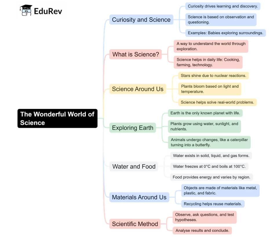 What`s Inside EduRev Infinity for CBSE Class 6? | How To Study For Class 6