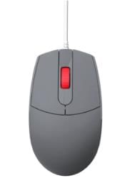 Mouse: An Input Device Chapter Notes | Computer Studies Class 2 ICSE