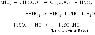 Theory & Procedure, Qualitative Analysis of Anions | Additional Study Material for NEET