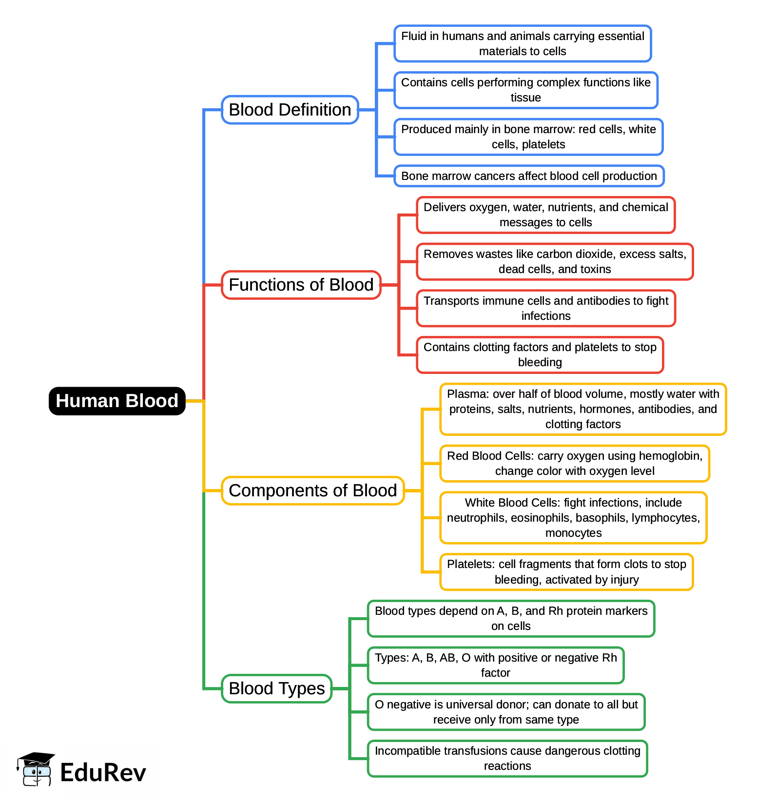 Mind Map: Human Blood | General Awareness for SSC CGL