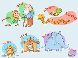 What are synonyms and antonyms? | Year 6 English