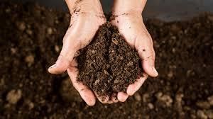 What is soil made from? | Year 3 Science