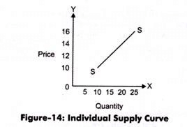 Individual Supply Curve