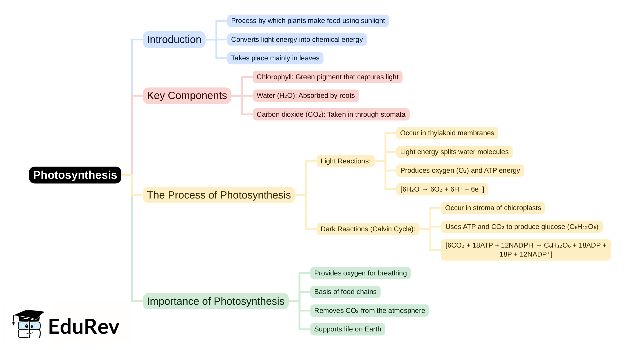 Mind Map - PDF Download