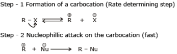 Nucleophilic Substitution Reactions - Haloalkanes and Haloarenes, Class 12, Chemistry