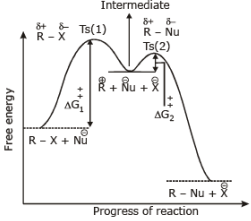 Nucleophilic Substitution Reactions - Haloalkanes and Haloarenes, Class 12, Chemistry