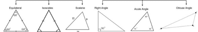 Theory - To Show that the Area of a Triangle is half the product of the Base and the Height, Math - Class 9