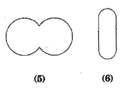 NCERT Solutions for Class 8 Maths - (Ex - 3.1) - Chapter 3: Understanding Quadrilaterals, Maths