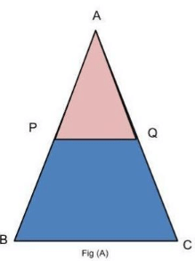 Theory - To verify the mid-point theorem for a triangle, Math, Class 9
