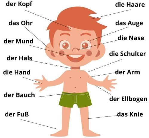 Stefan, wie geht’s dir? Chapter Notes | Learn German (Hallo Deutsch 3) - Class 8