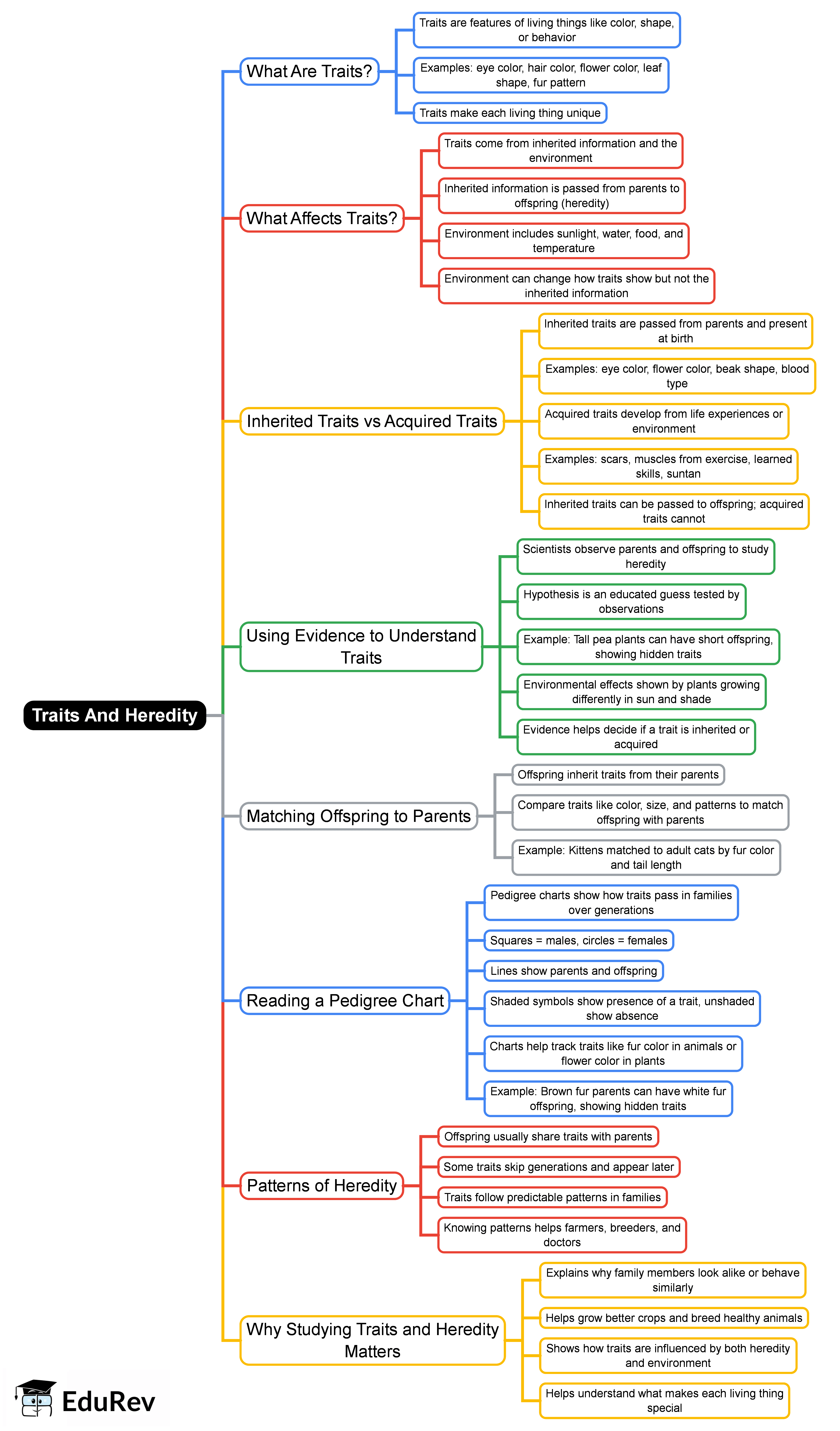 Traits And Heredity Mind Map - Grade 5 PDF Download