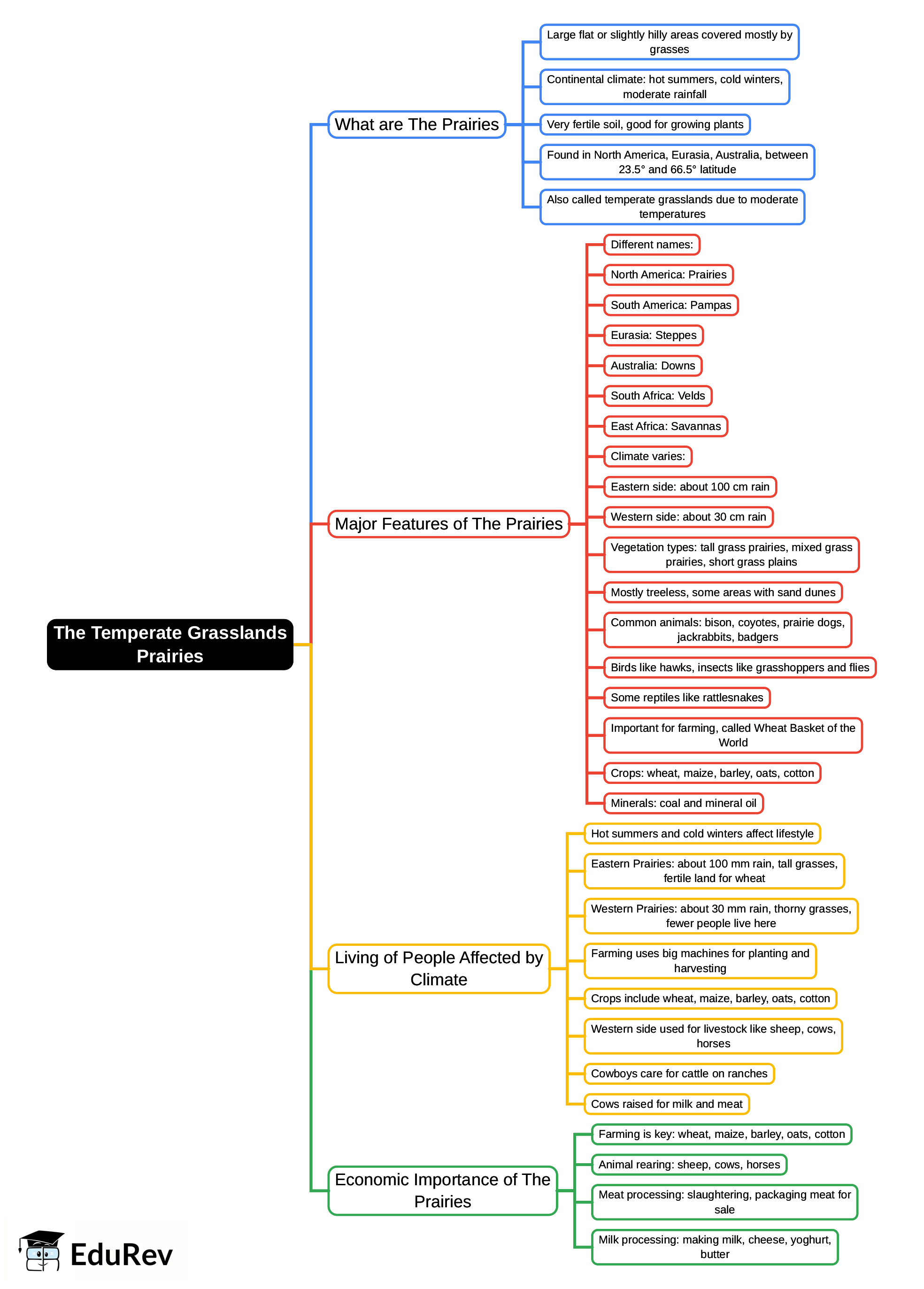 Mind Map: Prairies | Social Studies for Class 5