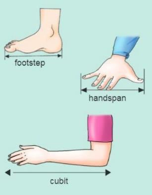 Physical Quantities and Measurement Chapter Notes | Physics Class 6 ICSE