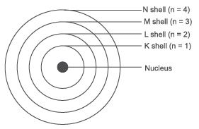 NCERT Solutions for Class 8 Science Chapter 4 - Structure of the Atom