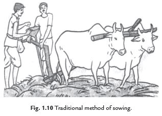 Short Answers - Crop Production and Management, Science, Class 8
