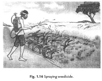 Short Answers - Crop Production and Management, Science, Class 8