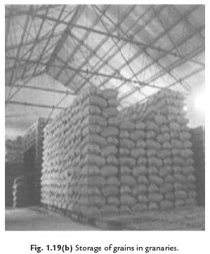 Short Answers - Crop Production and Management, Science, Class 8