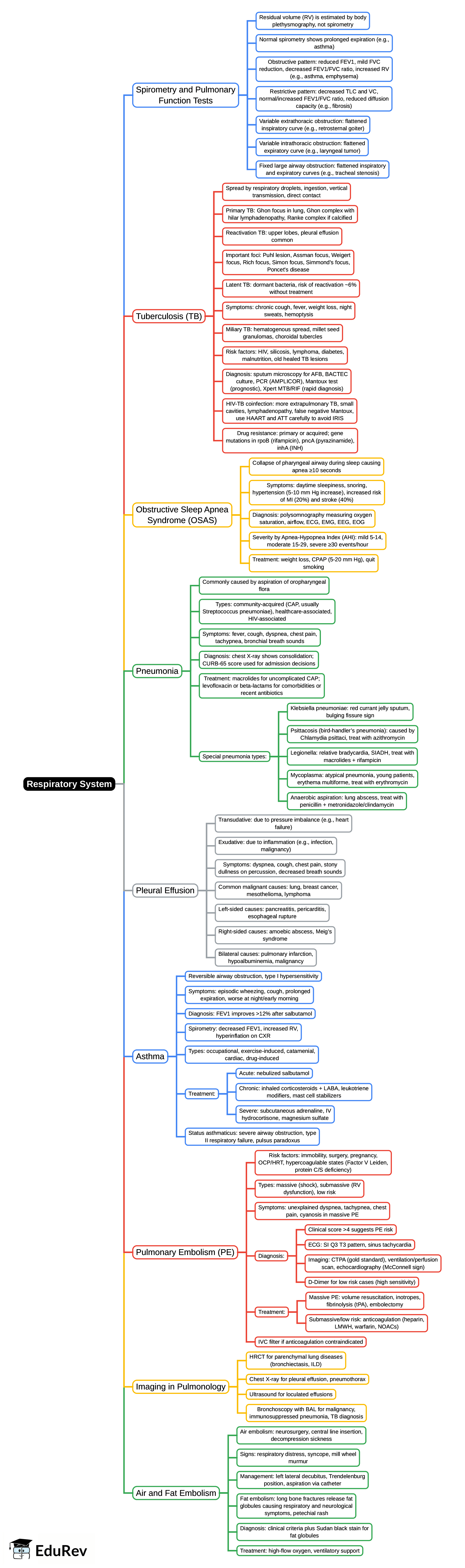 Mind Map: Respiratory System – 1