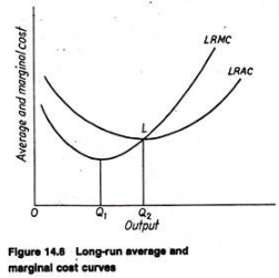 Short Run & Long Run Cost Curves - Cost Function Analysis, Business Economics & Finance | Business Economics & Finance - B Com