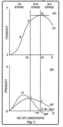 Law of Variable Proportion - Production Analysis, Business Economics & Finance | Business Economics & Finance - B Com