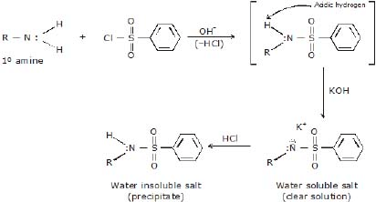CBSE, Class 12, IIT JEE, Syllabus, Preparation, AIPMT, NCERT, Important, Amines, Compounds containing Nitrogen