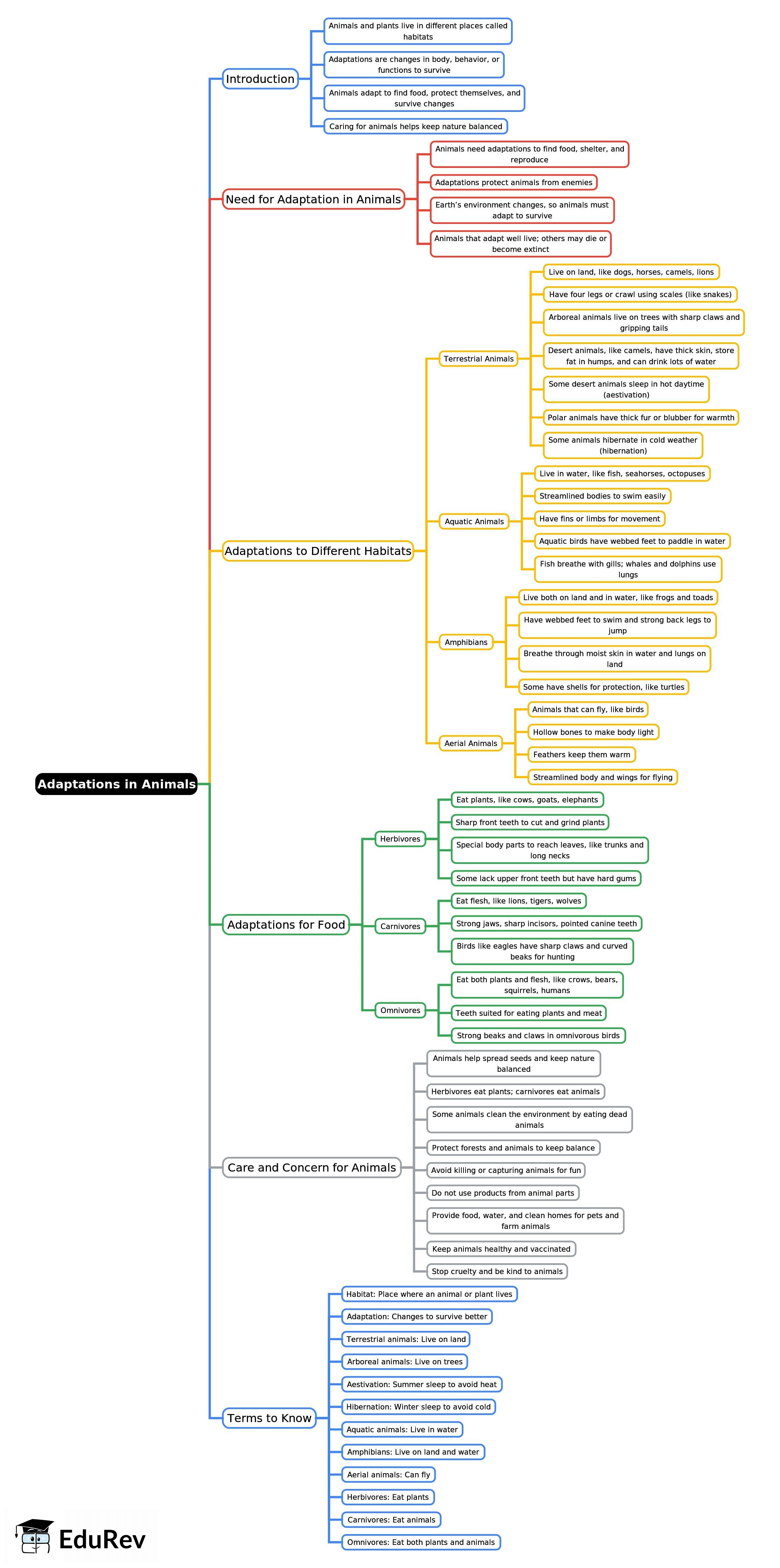 Mind Map: Adaptations in Animals | Science for Class 4