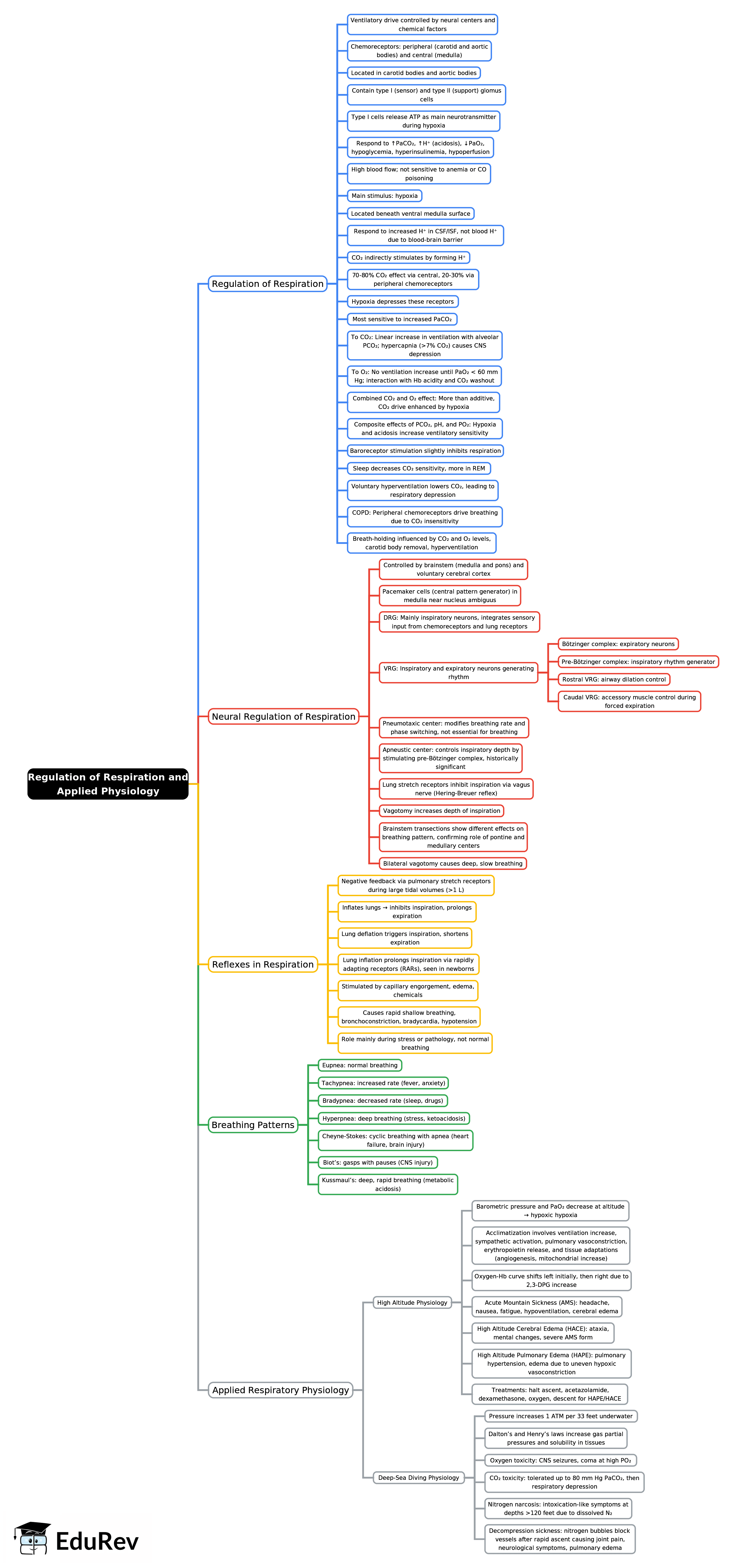 Mind Map: Regulation of Respiration and Applied Physiology | Physiology - NEET PG