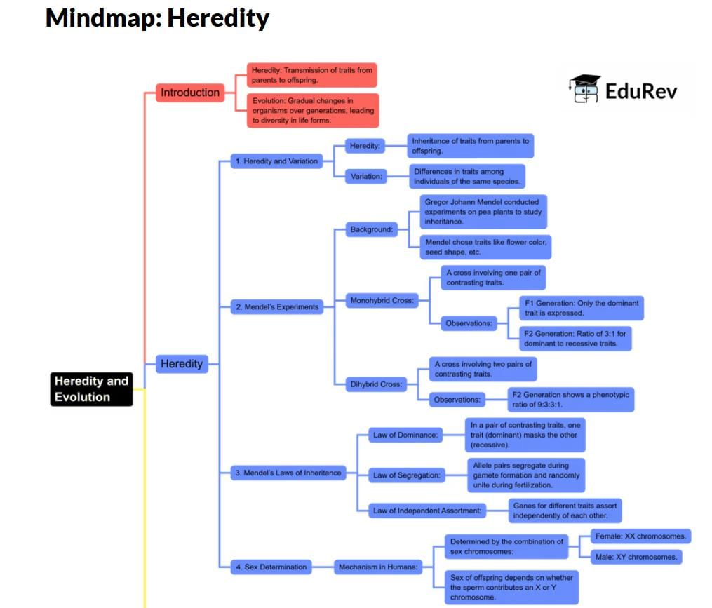 What do you get under EduRev Infinity Package for Class 10? | Social Studies (SST) Class 10