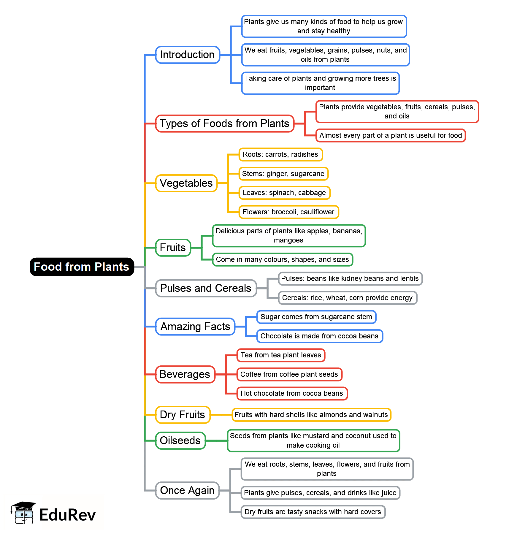 Food from Plants Mind Map - Class 1 Science PDF Download